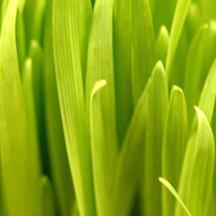 免费使用不要钱的怎么简单攻击一个网站